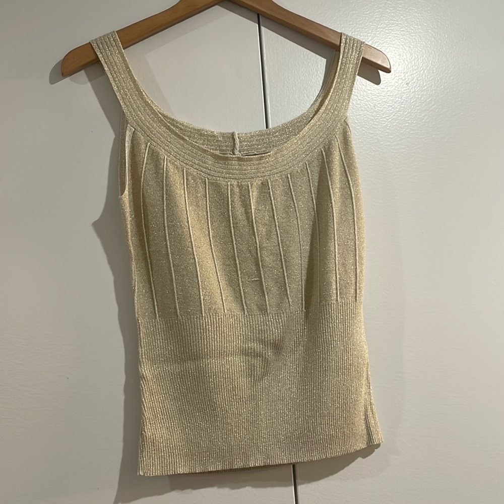 Alberto Malaki Crean with Gold Sparkling Sleeveless Top